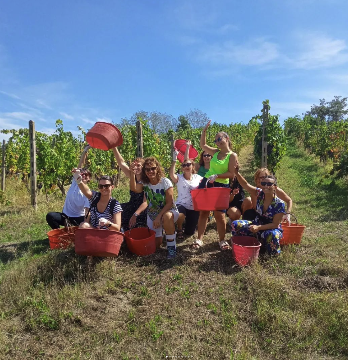 Gruppo di partecipanti solleva i cesti rossi della vendemmia tra i vigneti del Monferrato, Piemonte